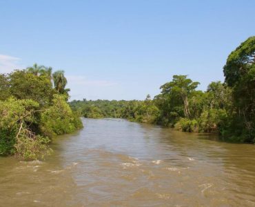 “Salud y Ambiente”