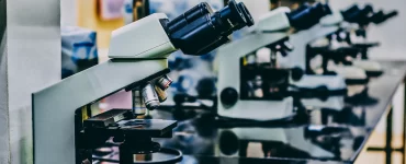 Se realizó una nueva edición del Encuentro de Clubes de Ciencia en Bariloche