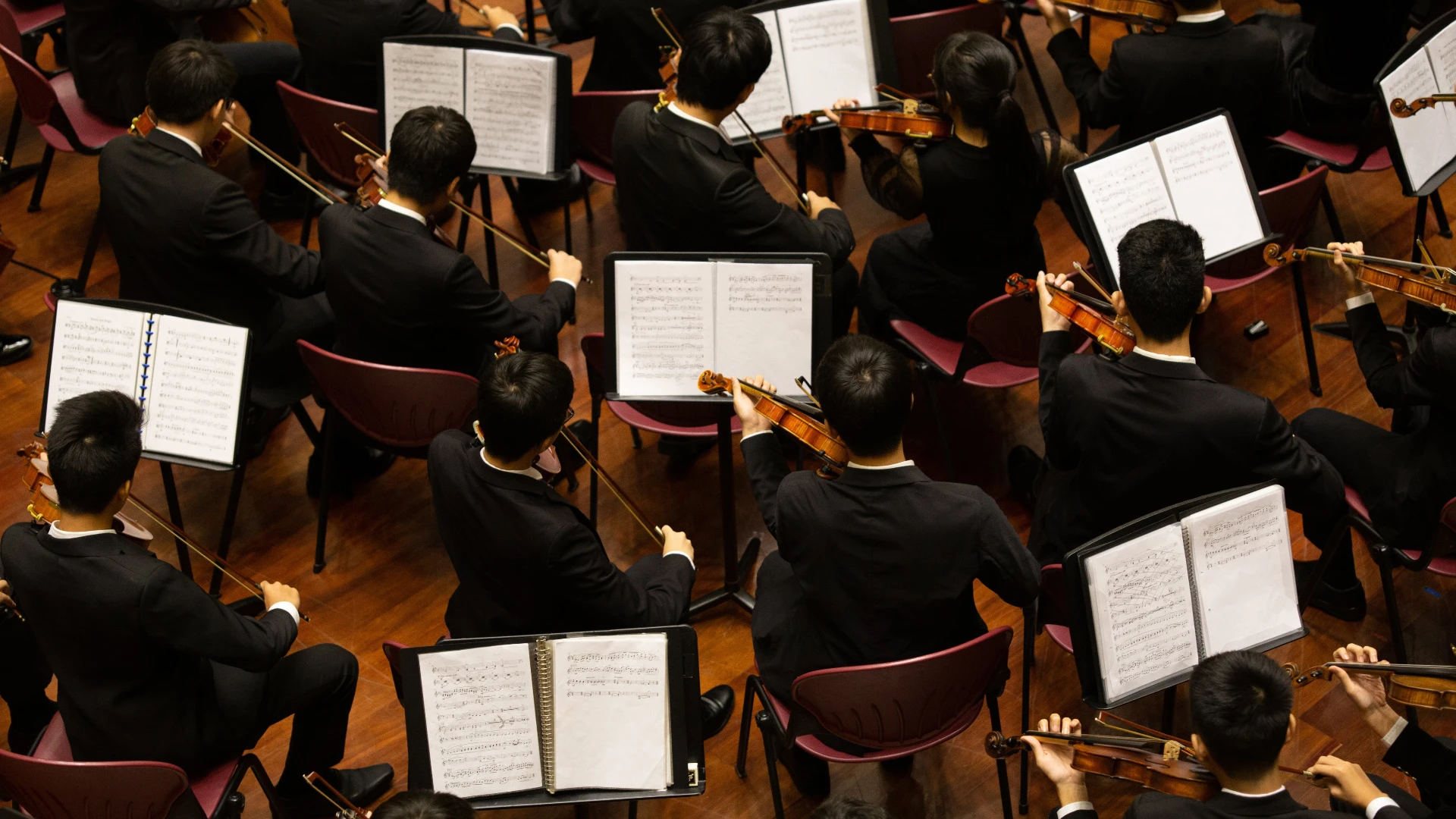 Día de la Música: la Orquesta Sinfónica Nacional se presenta en el CCK
