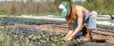 Esta fue un trabajo en alianza La Segunda Seguros y la Red Mujeres Rurales, para buscar disminuir la precarización existente en el sector