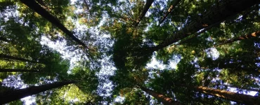 El Gobierno de Córdoba promoverá la Educación Ambiental en las escuelas