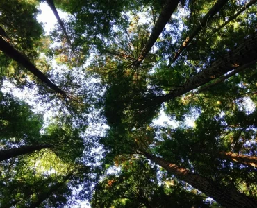 El Gobierno de Córdoba promoverá la Educación Ambiental en las escuelas