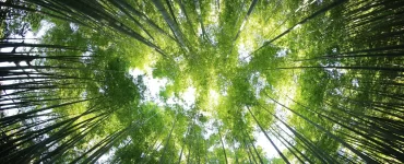 Córdoba: la Universidad Libre del Ambiente llega con nuevas actividades en marzo