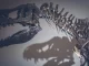 Descubren en Chubut una nueva especie de dinosaurio que vivió hace 69 millones de años