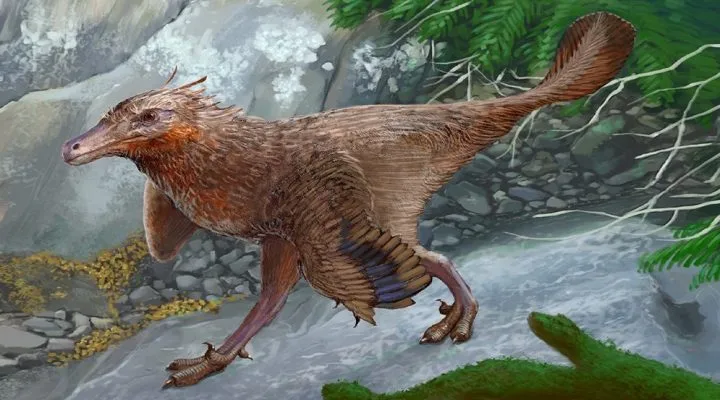 Descubren en Neuquén una nueva especie de dinosaurio carnívoro que vivió hace aproximadamente 83 millones de años